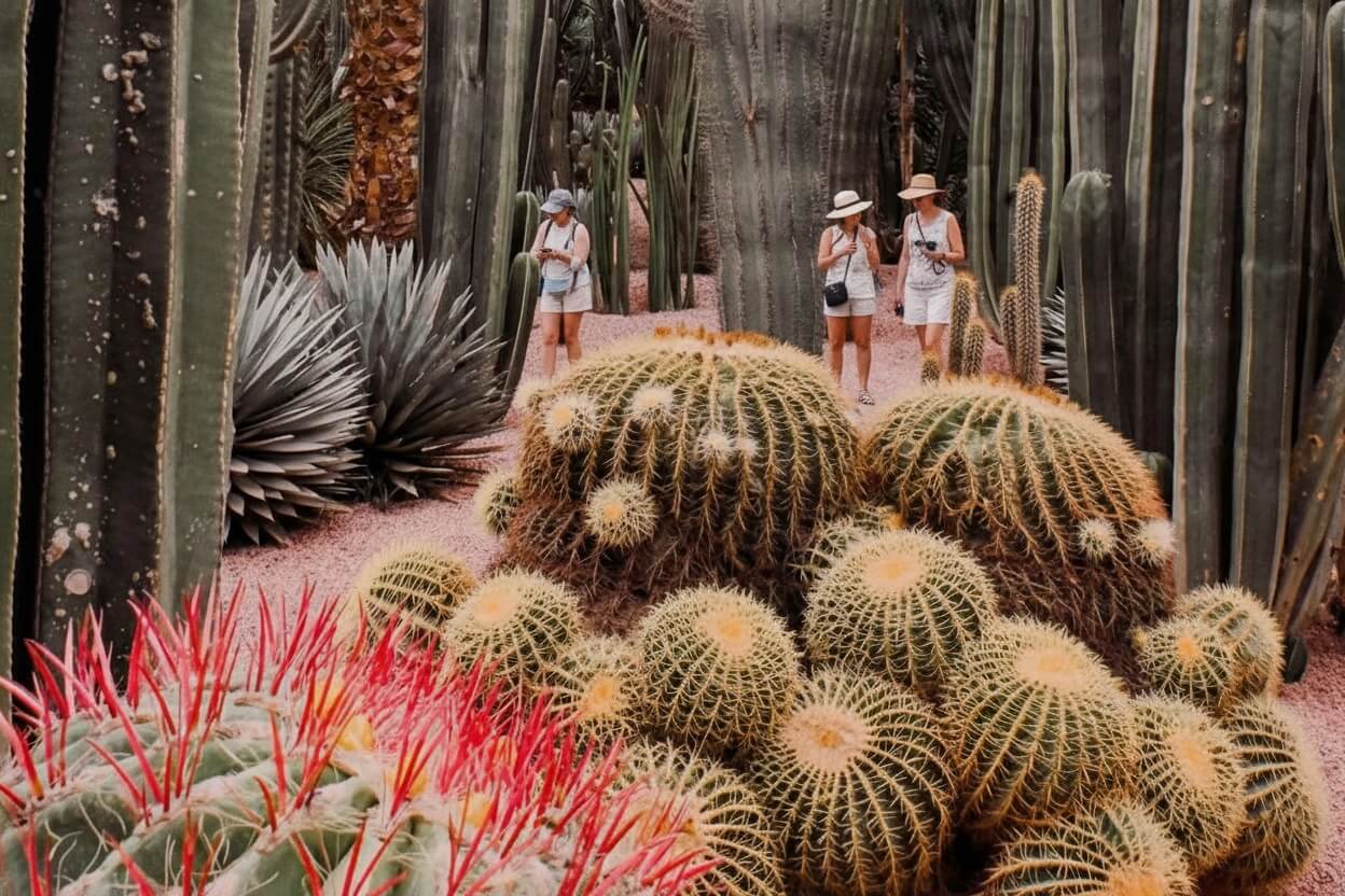 Jardin de Majorelle